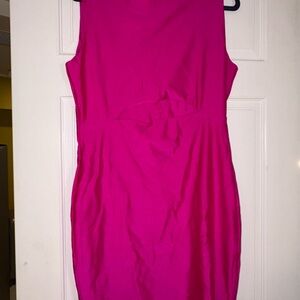 Fashion Nova Vibrant Pink Mini Dress